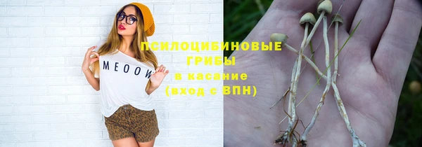 прущая мука Дмитровск