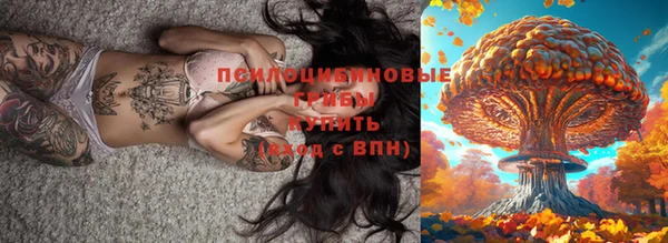 прущая мука Дмитровск
