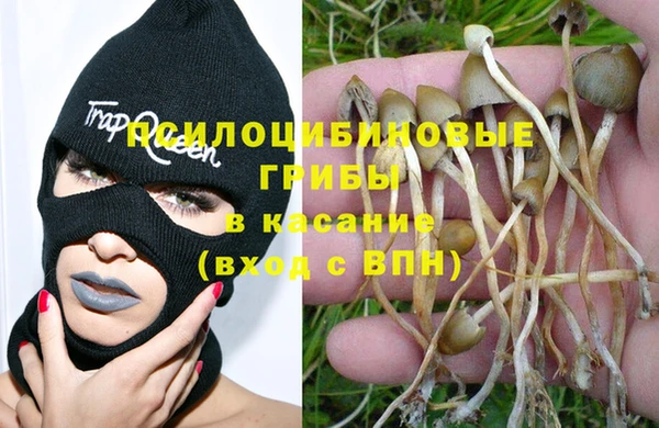 кокаин Дмитриев