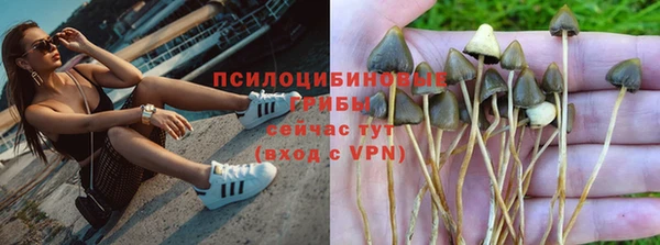 соль курить ск Дмитров