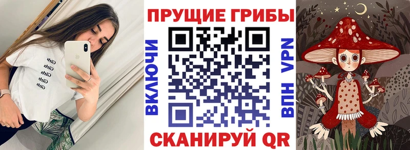 Псилоцибиновые грибы GOLDEN TEACHER  Купить  Клин 